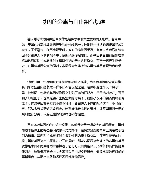 基因的分离与自由组合规律