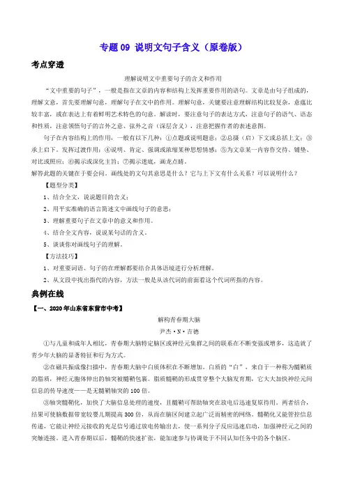 专题09 说明文句子含义-2021年中考语文考前抓大分技法之说明文阅读(原卷版) 