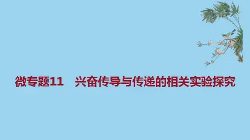新教材高中生物选择性必修一微专题11 兴奋传导与传递的相关实验探究