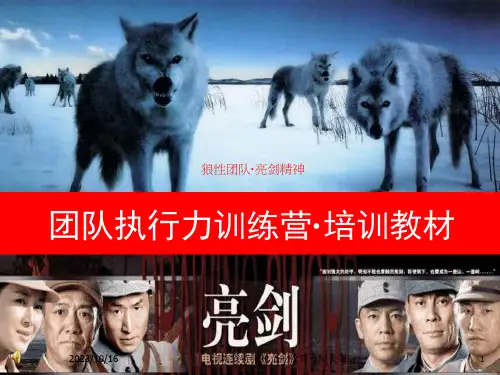 团队执行力训练营培训教材课件