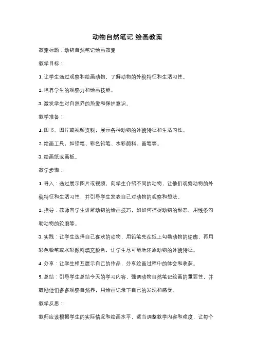 动物自然笔记 绘画教案