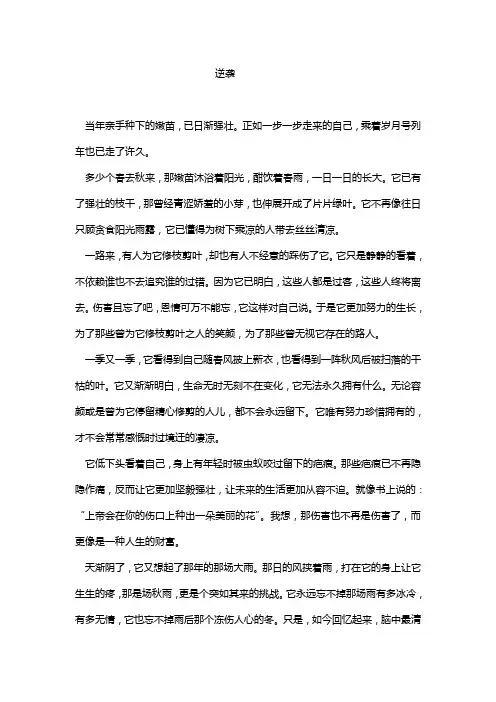 高一学生作文《逆袭》