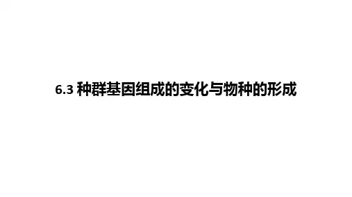种群基因组成的变化与物种的形成课件(共34张PPT)