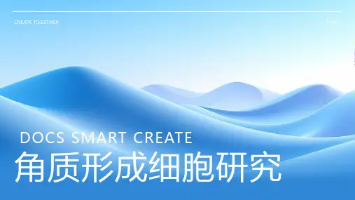 角质形成细胞