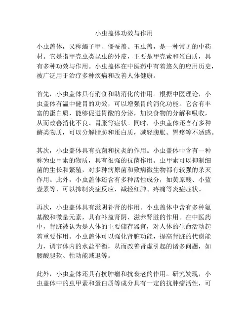 小虫盖体功效与作用