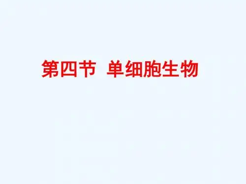 新疆维吾尔自治区七年级生物上册2.2.4单细胞生物课件新人教版