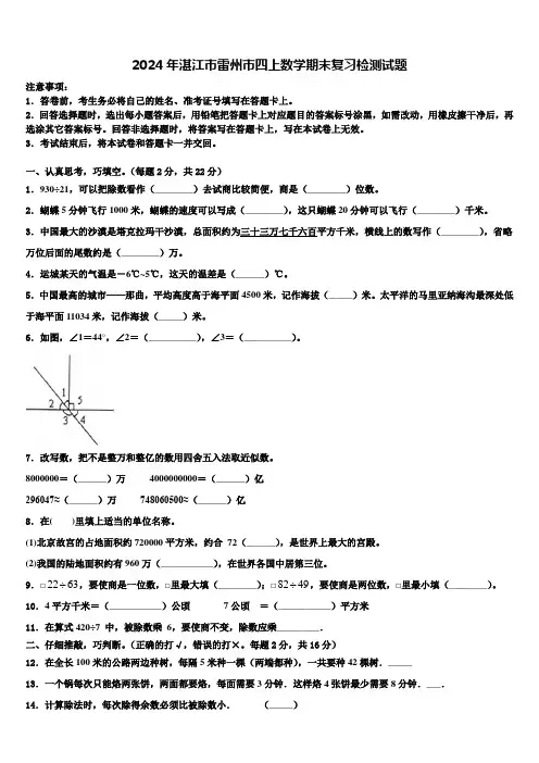 2024年湛江市雷州市四上数学期末复习检测试题含解析
