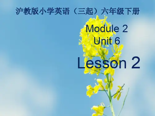 上海教育版六下英语module 2 unit 6《pe lessons》(第2课时)ppt课件