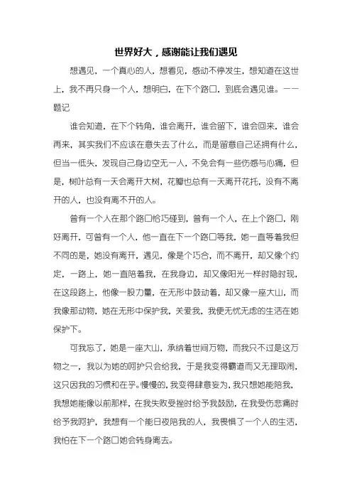 初三作文：感谢遇见你作文