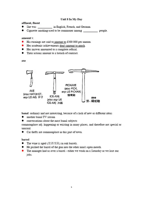 现代大学英语3 Unit 8 In My Day 词汇精讲