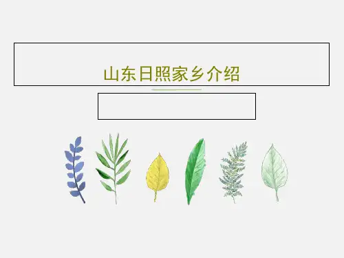 山东日照家乡介绍52页PPT
