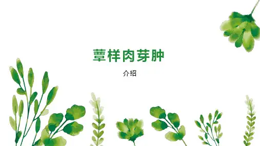 蕈样肉芽肿 