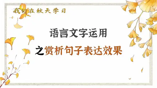 2025届高考语文复习：赏析句子表达效果+课件