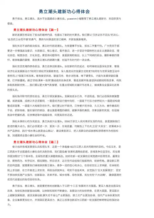 勇立潮头建新功心得体会