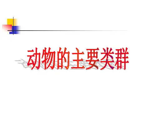 生物的分类(PPT课件(初中科学)15张)