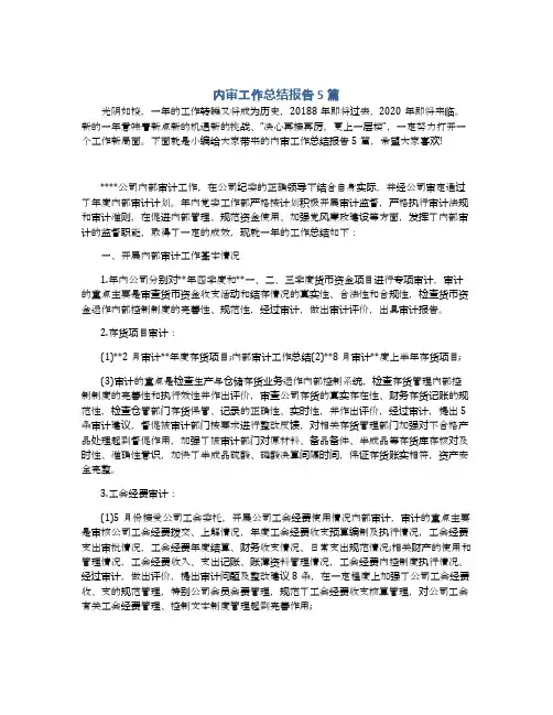 内审工作总结报告5篇