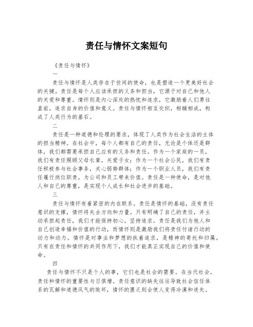 责任与情怀文案短句