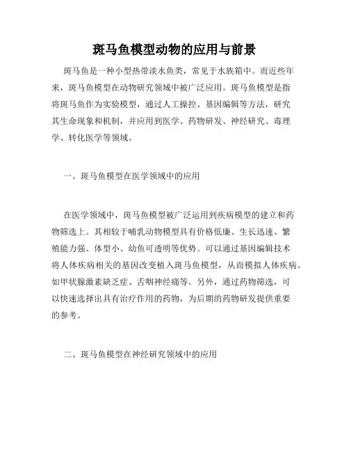 斑马鱼模型动物的应用与前景