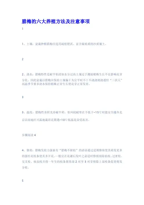 腊梅的六大养殖方法及注意事项