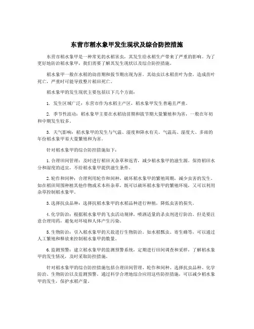 东营市稻水象甲发生现状及综合防控措施