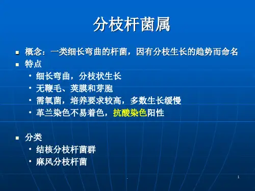 分枝杆菌属ppt演示课件