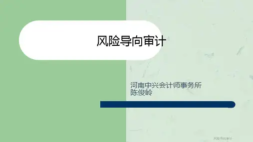 风险导向审计课件