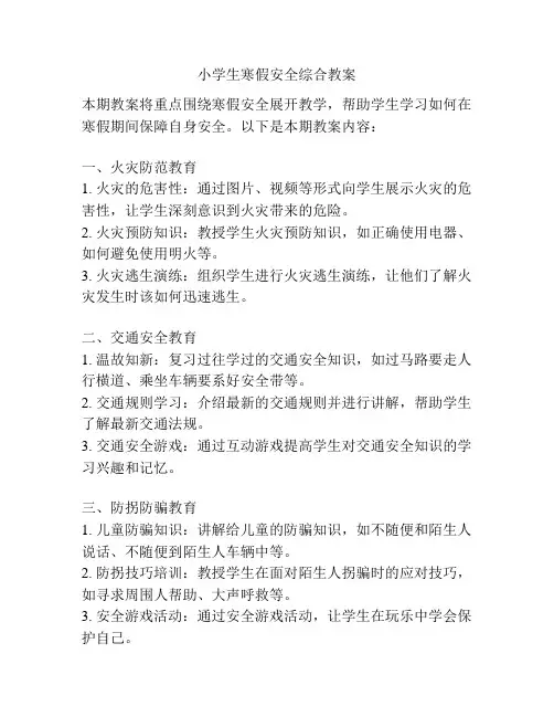 小学生寒假安全综合教案
