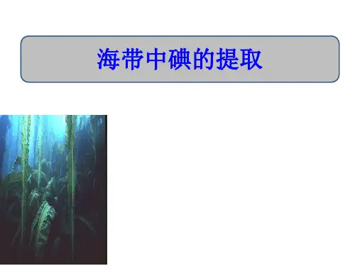 人教版高中《化学必修2》第四章第一节海带中碘的提取说课22ppt