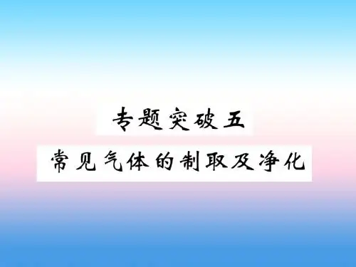 (百色专版)中考化学复习第2编重点专题突破篇专题突破5