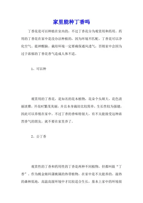家里能种丁香吗