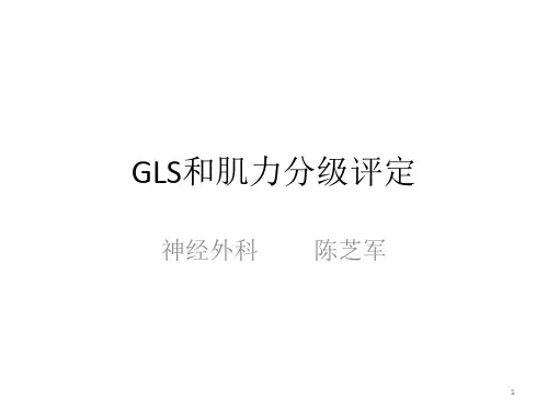GLS和肌力分级评定PPT课件