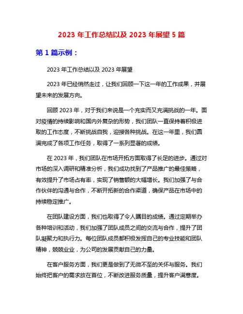 2023年工作总结以及2023年展望5篇