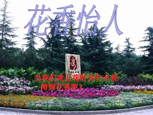 10.1 认识分子—沪粤版八年级下册物理课件(共20张PPT)
