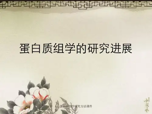 蛋白质组学研究方法课件