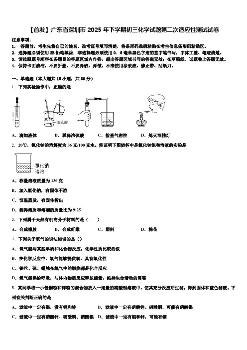 【首发】广东省深圳市2025年下学期初三化学试题第二次适应性测试试卷含解析