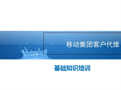 某集团客户代维基础知识培训教材