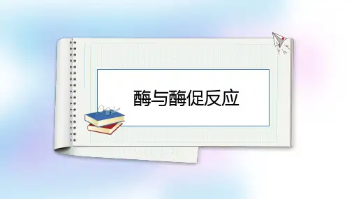 3.1.1酶与酶促反应课件高一上学期生物(1)