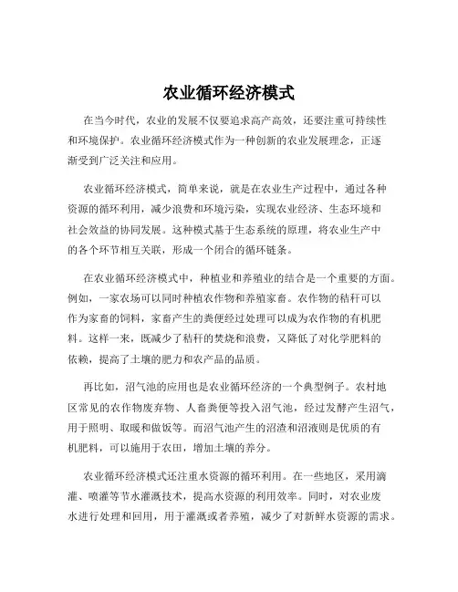 农业循环经济模式