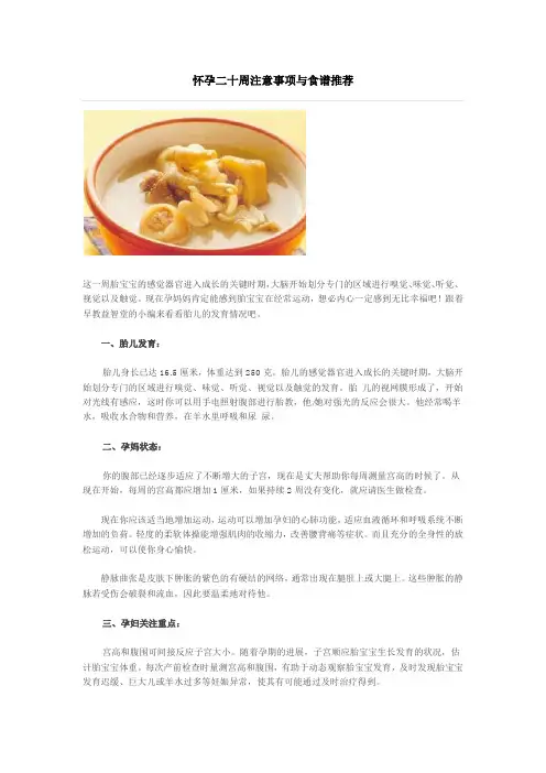怀孕二十周注意事项与食谱推荐