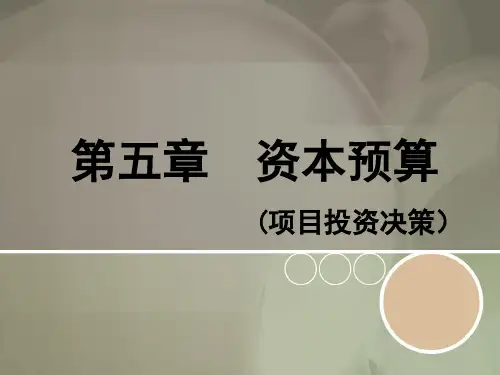 第五章 资本预算