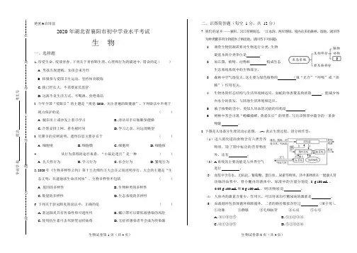 2020年湖北省襄阳中考生物试卷附答案解析版