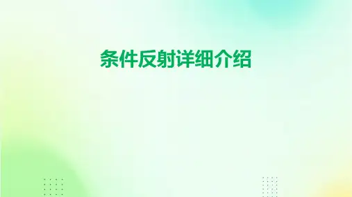 条件反射详细介绍