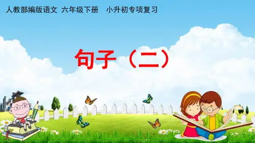 人教部编版六年级语文下册《小升初专项复习 句子(二)》教学课件PPT小学优秀课件