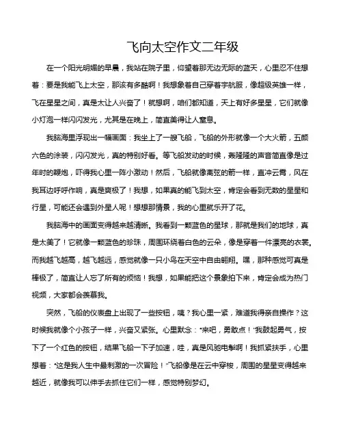 飞向太空作文二年级