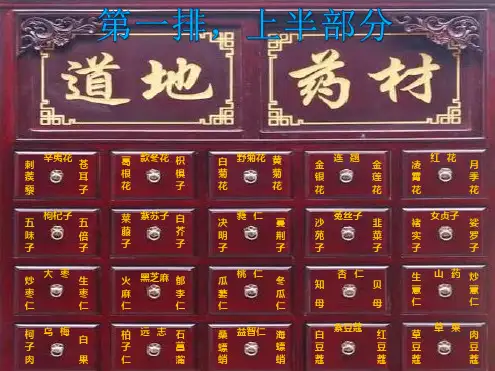 斗谱--中药饮片排列图