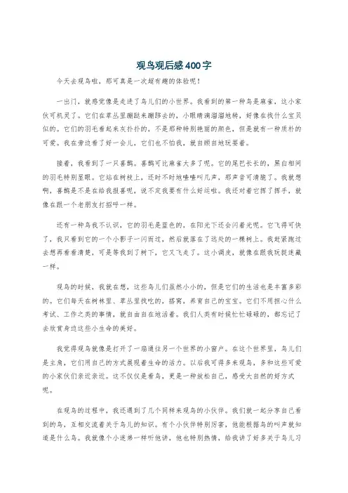 观鸟观后感400字
