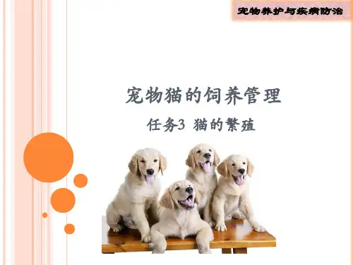 宠物猫的饲养管理 任务3  猫的繁殖
