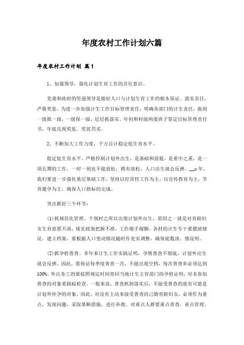 2024年年度农村工作计划六篇
