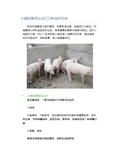 小猪拉稀怎么办三种治疗方法