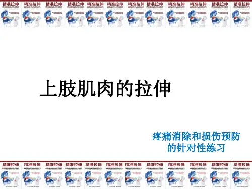 2017  精准拉伸---疼痛消除和损伤预防的针对性练习(上肢肌肉)
